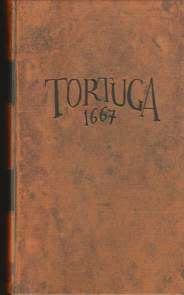 Miniatura Ver juego de Tortuga 1667