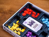 Joraku | IG: @doctor_meeple