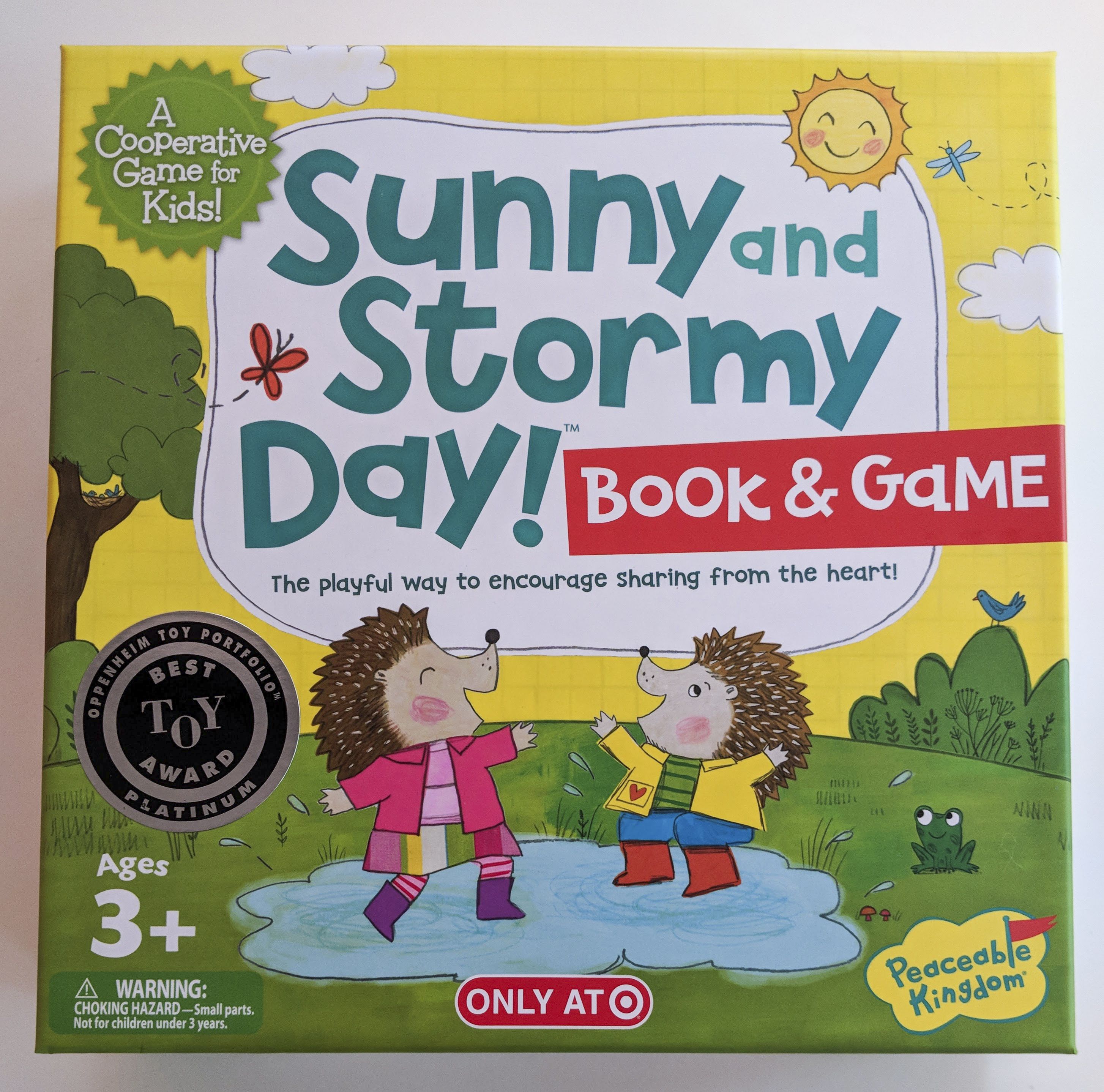 Sunny and Stormy Day!