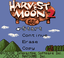 Video Game: Harvest Moon 2 GBC