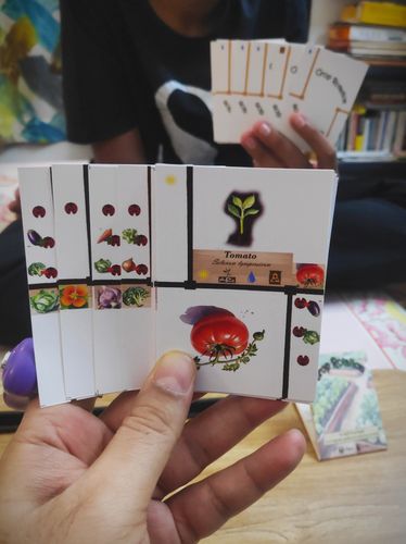 Crop Rotation, the 2-player in-hand head to head gardening game, is ...