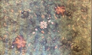 ONUS! Meadow Playmat