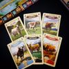 Some of the cows