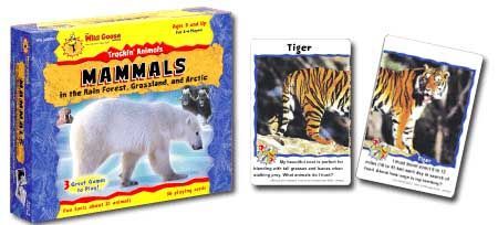 Trackin' Animals: Mammals in the Rain Forest, Grassland, and Arctic