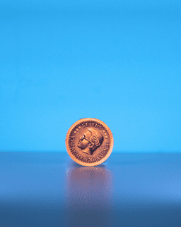 Nova Lectio: Status – Metal Coin