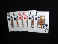 Boîte du jeu Sheepshead