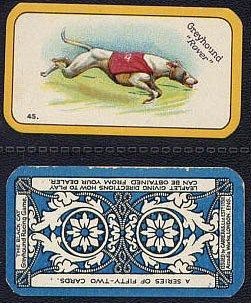 The Greyhound Racing Game