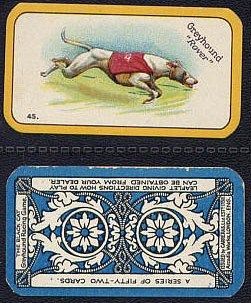 The Greyhound Racing Game