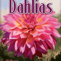 Bohnanza: Dahlias