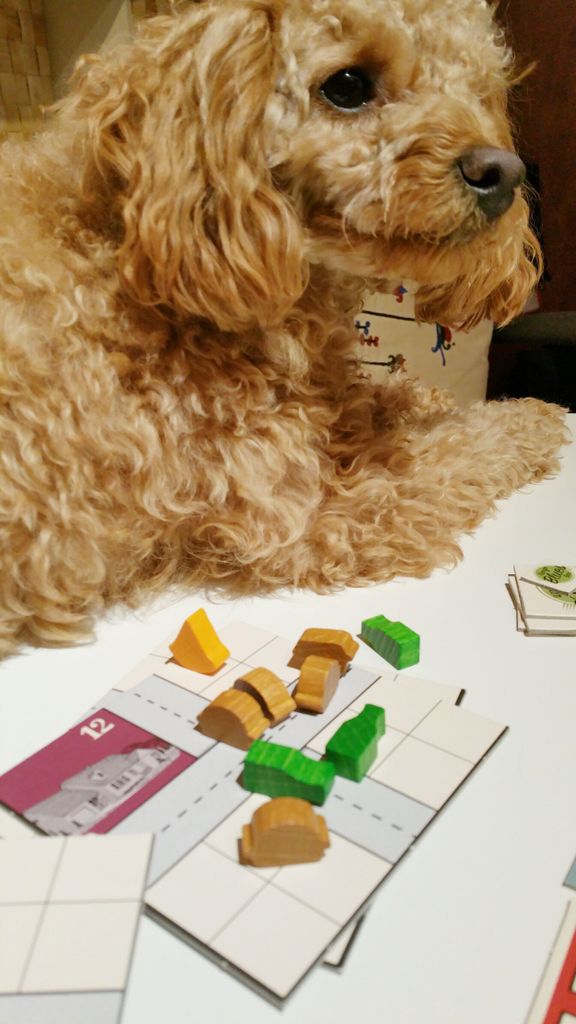 Mina S Fresh Cardboard Boardgamegeek