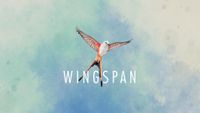 Video Game: Wingspan