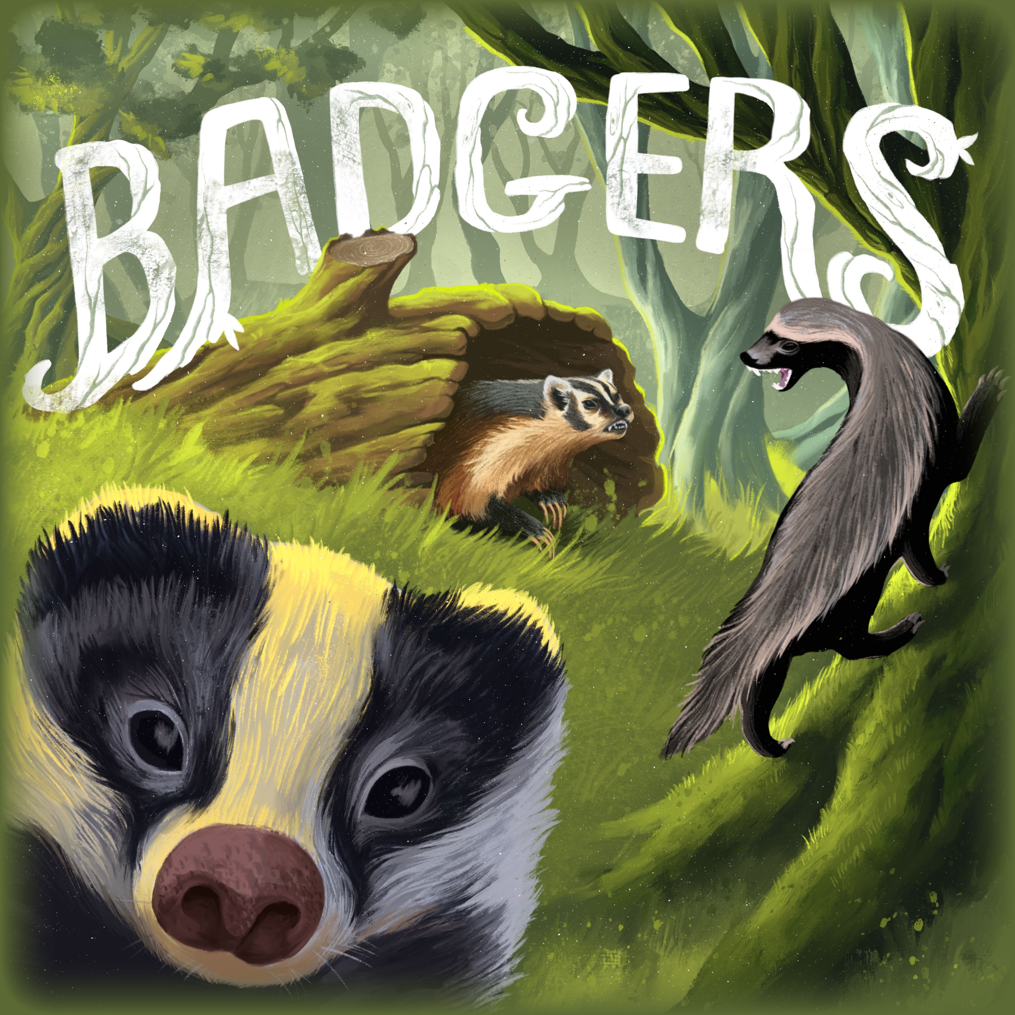 Cover art for Badgers