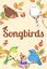 Board Game: Songbirds
