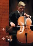 The Orchestra