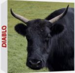 Diablo