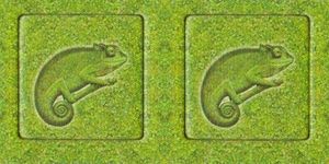 Zooloretto: Exotic – Chameleon