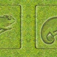 Zooloretto: Exotic – Chameleon