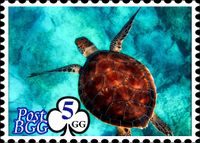 Wip Bgg Post Office 4th Roll Write Game Design Contest Contest Ready Boardgamegeek