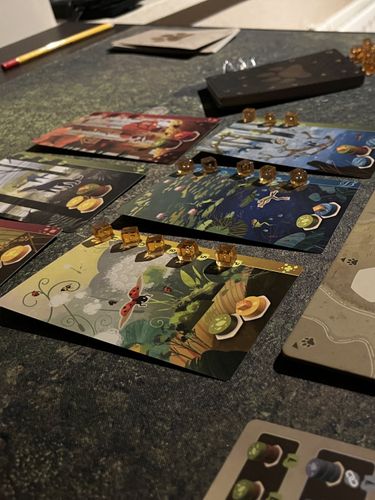 Issues with tray and card quality | BoardGameGeek
