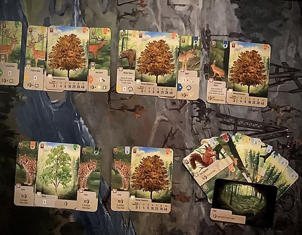 Forest Shuffle: Reviewing the Official Solo Mode | Forest Shuffle ...