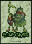 4.20 Game