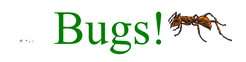 Bugs!