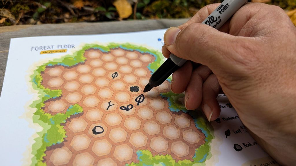 [WIP] Forest Floor (2024 Roll & Write Game Design Contest) [Contest Ready]