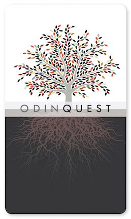 Odin Quest