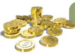 Bear Mountain Camping Adventure: Metal Coins