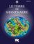 RPG Item: Le Terre di ShantMaere - Ambientazione