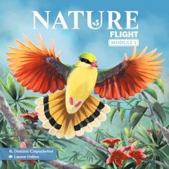 Nature: Flight