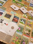 Playing