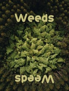 Weeds: The Solo Card Game