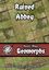 RPG Item: Heroic Maps Geomorphs: Ruined Abbey
