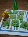 Carcassonne | Image Gallery | BoardGameGeek