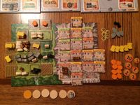 Caverna - Solo end game player board pics | BoardGameGeek Caverna - Solo end game player board pics | BoardGameGeek
