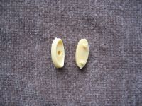 Board Game: Det Store Indianer-Spil