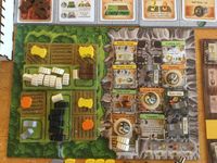 Caverna - Solo end game player board pics | RPGGeek Caverna - Solo end game player board pics | RPGGeek