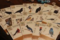 a few of the 170 unique bird cards