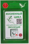 Эволюция: Жизненный цикл. Мини-дополнение (Evolution: The Origin of Species – Life Cycle Mini Expansion)