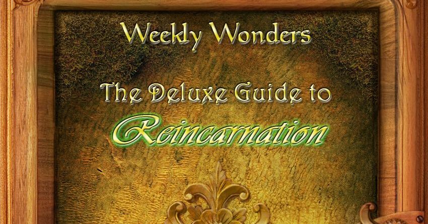 The Deluxe Guide to Reincarnation | RPG Item | RPGGeek