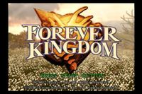 Video Game: Forever Kingdom