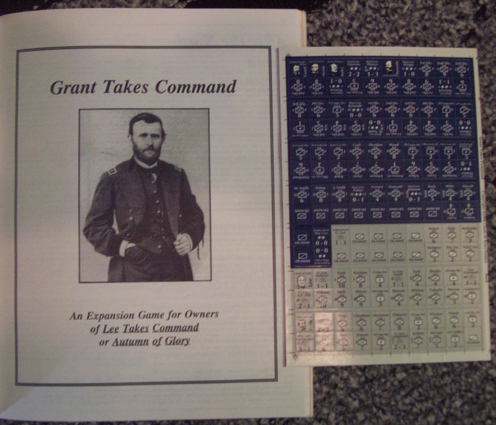 Grant Takes Command