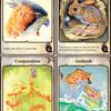 Here are 4 cards from Evolution with the final layout.