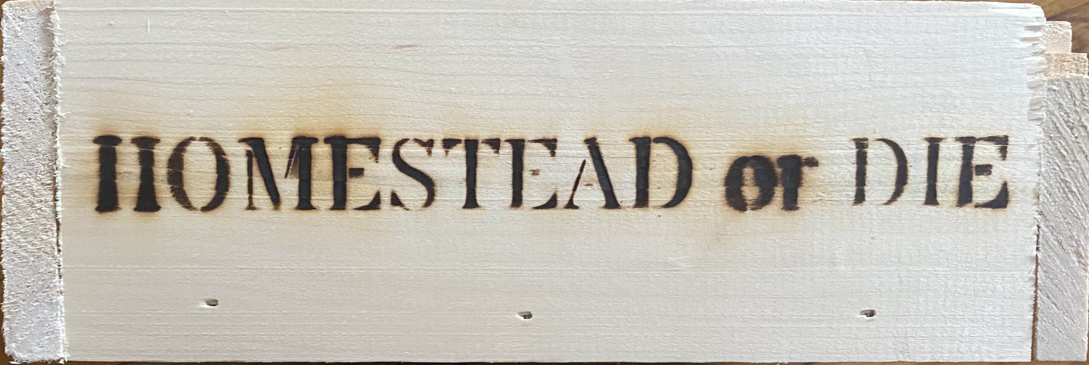 Cover art for Homestead Or Die