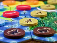 Wooden token closeup