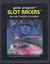 Video Game: Slot Racers