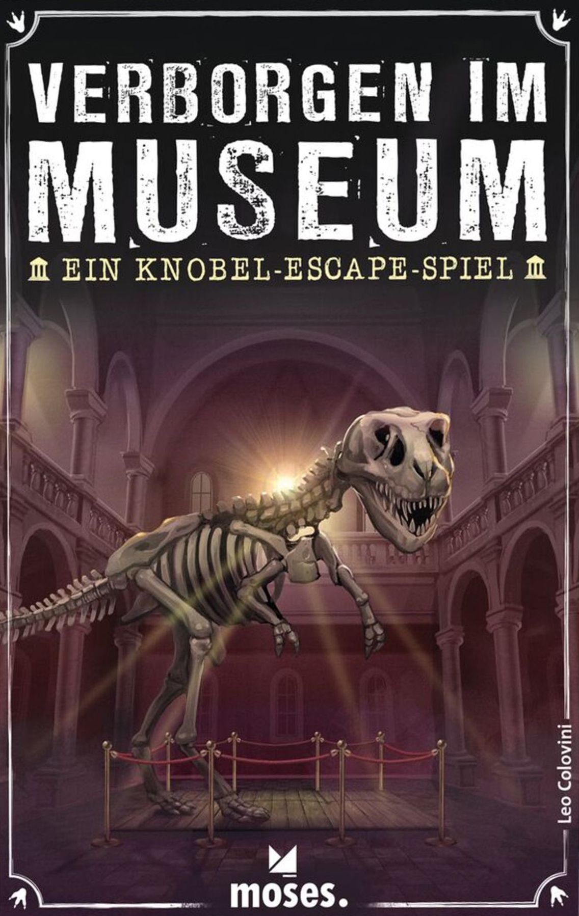 Verborgen im Museum box art