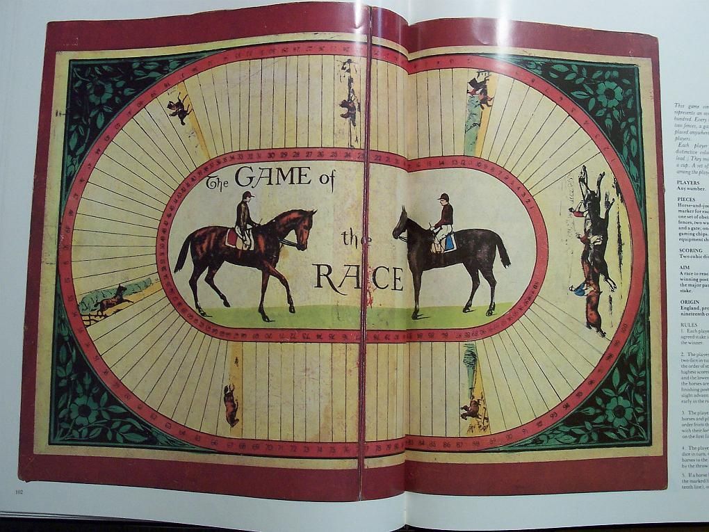 The Game of the Race