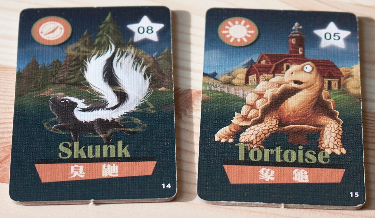 Coperta Animals Frightening Night!: Tortoise and Skunk